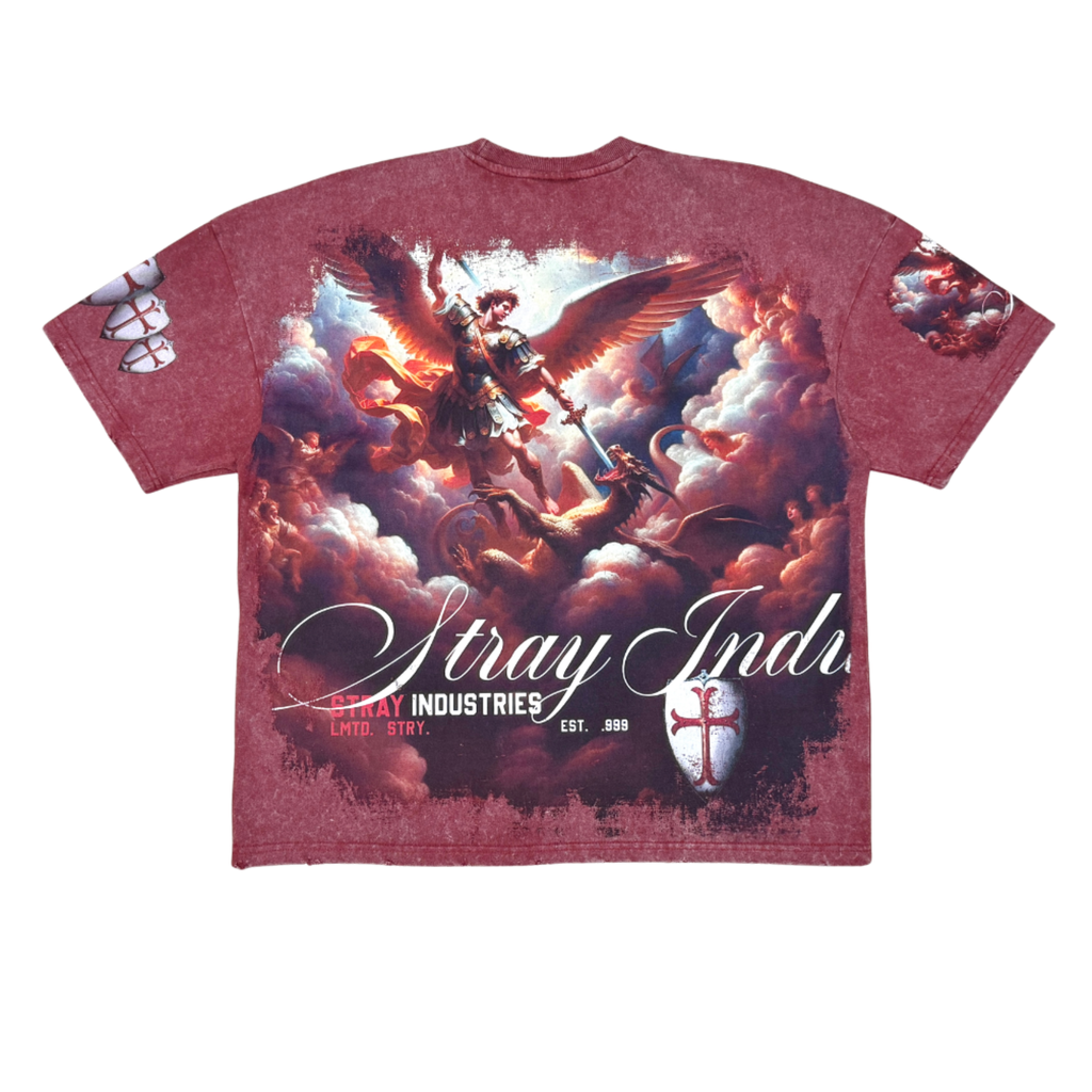 Men's Stray Victory T-shirt - Burgundy